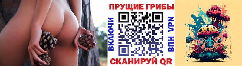 Галлюциногенные грибы GOLDEN TEACHER  Санкт-Петербург 