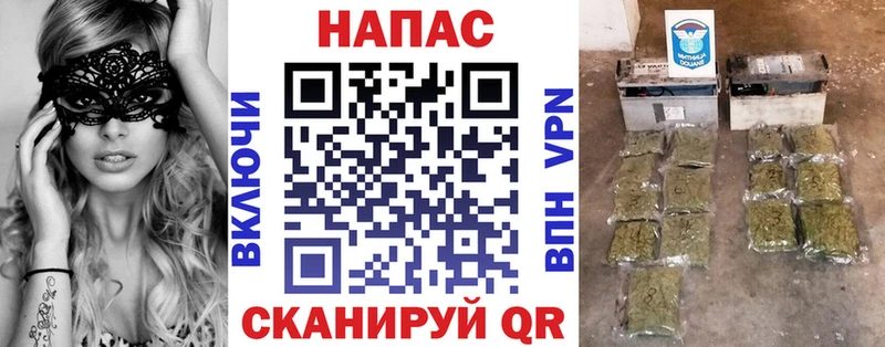 где можно купить наркотик  Санкт-Петербург  Бошки марихуана планчик 